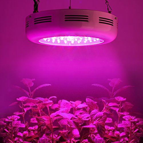 Roleadro LED Coltivazione Lampade per Piante