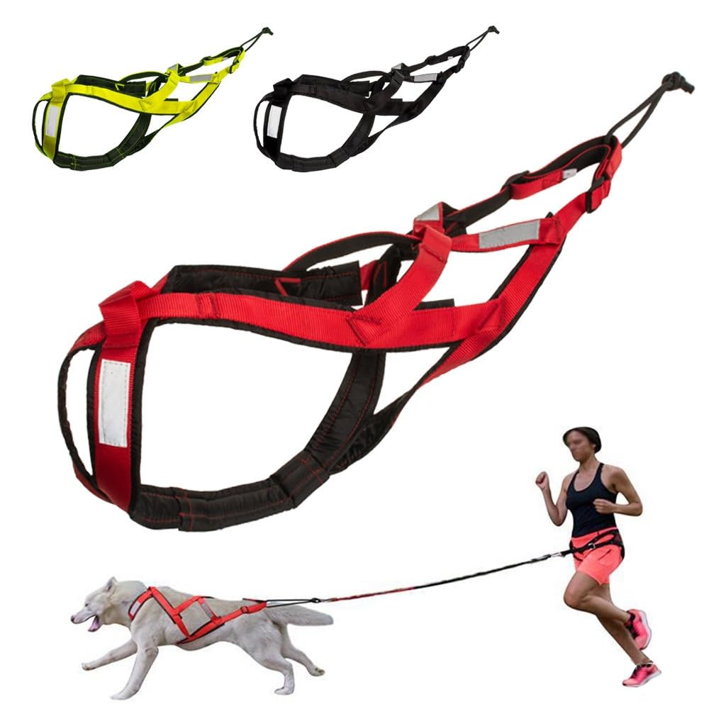 Pettorina Riflettente for Cani Da Slitta | Cintura regolabile sul petto e sul collo, cinghia in nylon resistente(Green,XX-Large)
