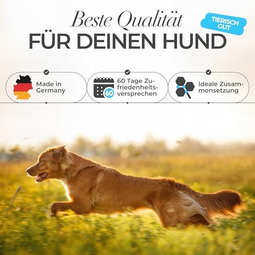 ENEMEL Vitamin B Komplex Hund Tropfen 100 ml – flüssiges Vitamin B für Hunde zur einfachen Anwendung, B-Vitamin Komplex zur täglichen Ergänzung & Fütterungsroutine, Premium Qualität Made in Germany