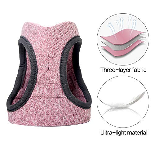 Heywean Cat Harness and Leash - Ultra Light Escape Proof Kitten Collar Cat Walking Jacket with Running Cushioning Soft and Comfortable Suitable for Puppies Rabbits