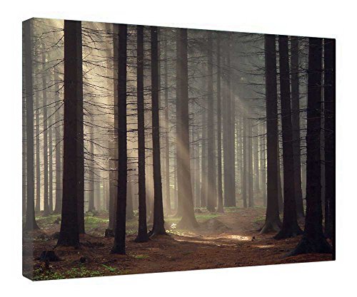 Impression sur toile murale sans pli avec cadre bois prêt