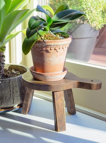 Red-Co-6-inch-Tall-Mini-Round-Boho-Chic-Tabletop-Sustainable-Rubberwood-Stool-Display-Stand-Casual-Country-Potted-Plant-Holder-Brown Red Co 6 inch Tall Mini Round Boho Chic Tabletop Sustainable Rubberwood Stool Display Stand Casual Country Potted Plant Holder Brown