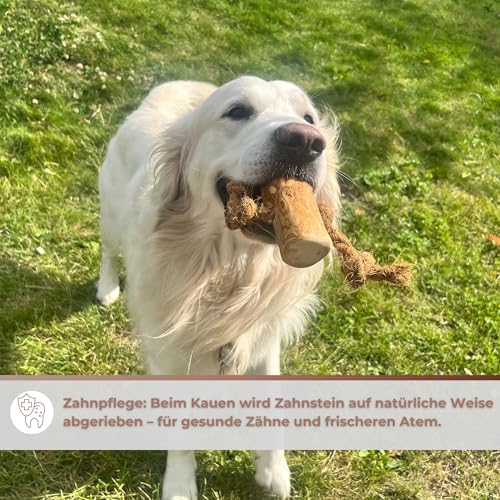 Zoys® Kaffeeholz Kokosseil M – Natürlicher Kauartikel & Zerrspielzeug für Hunde 15 kg – Koffeinfrei, splitterarm – Unterstützt Zahnreinigung – Robust nachhaltiges Hundespielzeug