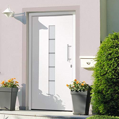 Questa porta d'ingresso è progettata per arricchire la zona d'ingresso della vostra casa, e garantisce anche una maggiore sicurezza per il vostro focolare