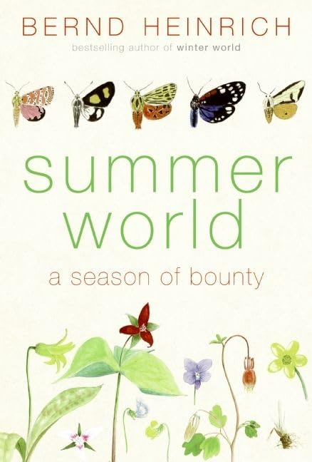 Buy Summer World — BookShops.in