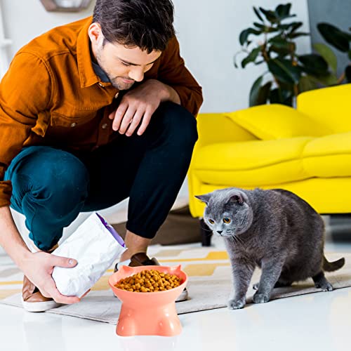 Newofview Katze 3 Stück Futternapf Erhöht Fressnapf mit 15° Neigung, Anti-Erbrechen, Wasserfütterung Schüssel