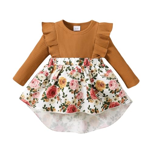 Image of OLLUISNEO Newborn Baby Girl Dress Infant Ruffle Sleeve Romper Outfits Flower Girls Dresses Baby Girl Clothes Summer Fall