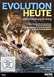  Evolution heute: Die Entwicklung im Gang