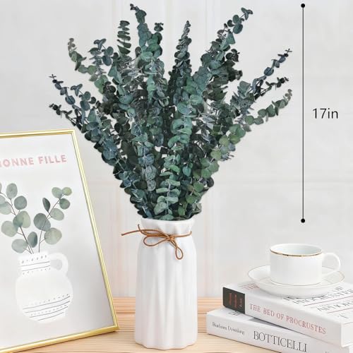 21 Pcs Preserved Dried Eucalyptus Stems, 17" Real Natural Eucalyptus Plants for Shower, Fresh Hanging Branches Bundle, Real Greenery Leaves Stems for Bathroom Vase Filler Garland Wedding Home Decor by LEBERY - Image 5