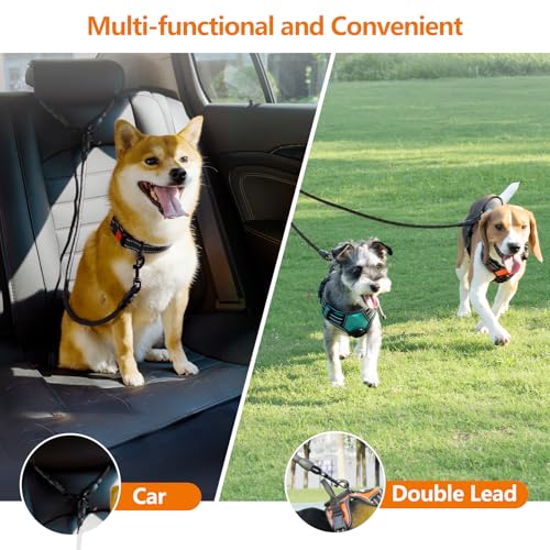 Taglory Doppelte Leinen/Hundeleine Doppelleine für 2 Hunde/Keine Verwicklung Reflektierend Kletterseil/Verstellbar Splitterleinen/75cm, SCHWARZ