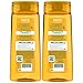 Garnier Hair Care Fructis Triple Nutrition Shampoo, Dry to Very Dry Hair, 2 Count