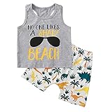 Piqueras y Crespo - Silla para Maquina de Coser Industrial Llanos sin Brazos. Equipado con Contacto Lama y Espuma de Corte. con Ruedas Autofrenantes. Negro