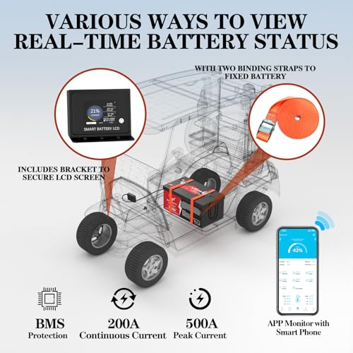 NewtiPower 36V 100Ah LiFePO4 Golf Cart Battery