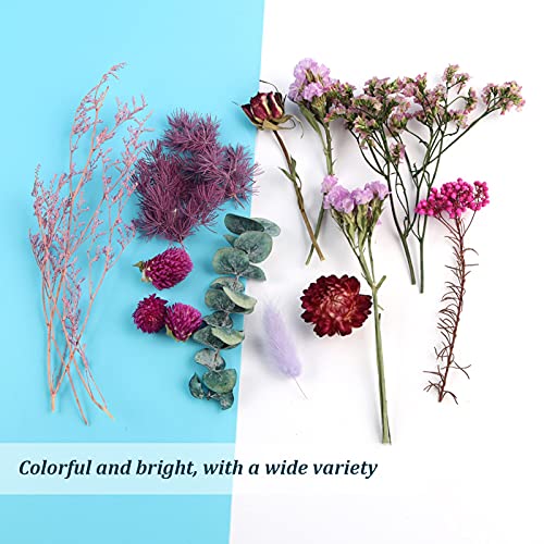 Decoração de flores secas, quantidade suficiente de buquê de flores secas para decoração de acessóri