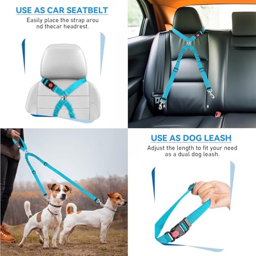 QINGYIWL Doppelter Anschnallgurt Hund Auto, 2 in 1 Verstellbarer Hundegurt fürs Auto, Sicherheitsgurt Hunde für Auto für Kleine & Mittlere Hunde (Blau)