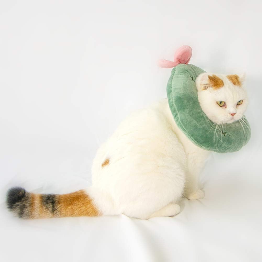 Adjustable Cat Recovery Collar Soft,Cute Pet E-Collar Neck Cone After Surgery Wound Healing Protective Cone Fit for Kitties, Small Dogs(ELC05-cactus-l) image 4