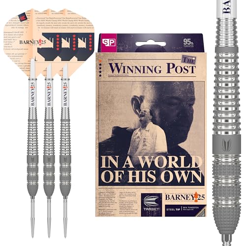 Fléchettes Target Darts RVB 25 Year Edition Swiss Point pour éviter les rebonds sur la cible