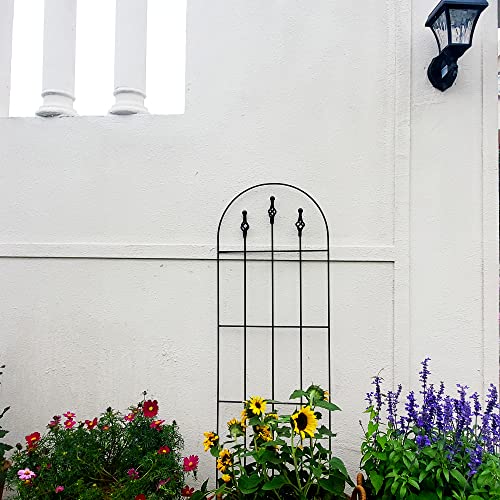 Scendor 48" H X16 W Trellis,Black Garden Metal Vine Sturdy Trellises For Outdoor Climbing Plants Support Structures B (121Cm) 2Pack #TOP1