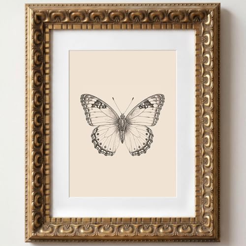 Wemandh Vintage Gold Framed Wall Art, Butterfly Sketch Canvas Prints, Living Room Bedroom Wall Art Decor, Ornate Antique Style Picture Frame, Victorian Botanical Insect Illustration painting (Framed, 10"L x 8"W)