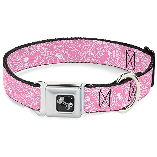 Collier de chien en forme d'os Buckle Down finition soignée pour petit chien
