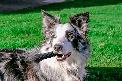 DURATOY Knobbly Bone Hundespielzeug,Langlebiges Kauspielzeug aus Gummi für starke Kauer,Quietschendes interaktives Spielzeug, ungiftig und antiallergen, perfekt für die meisten Hunderassen