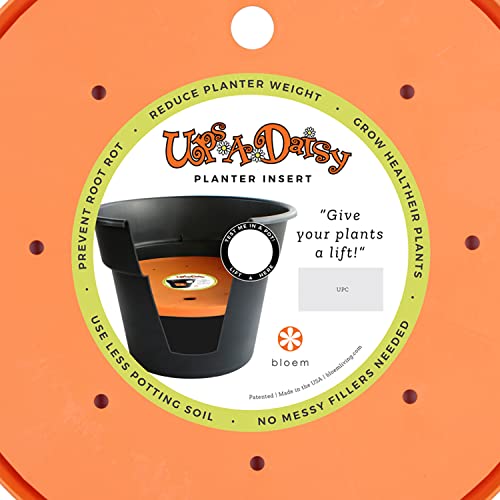 Bloem Ups-A-Daisy Round Planter Lift Insert (T6324-6), Orange, 14" #TOP5