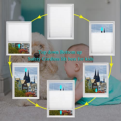 Custom Myshade Cellular Window Shades, Light Filtering Top Down Bottom Up Honeycomb Blind Cordless, Thermal Insulated Blinds Pleated Window Shade For Office, Living Room Easy To Install #TOP1