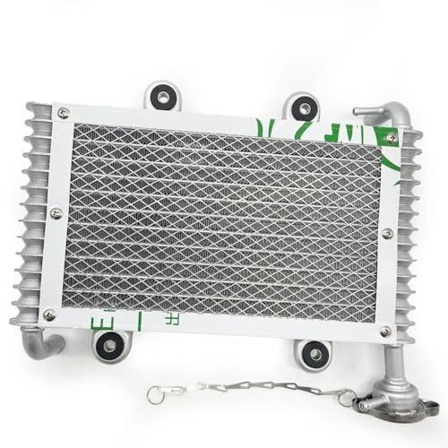 Radiador de refrigeración para ATV BS200 y quad de 200cc a 250cc