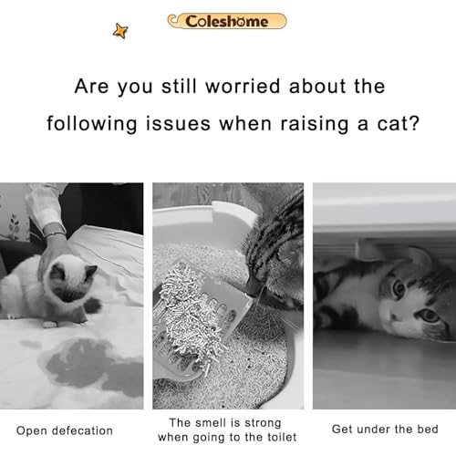 Chenil pour chat à 3 niveaux modulable avec zone litière fermée