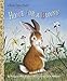 Home for a Bunny: A Classic Bunny Book for Kids (Little Golden Book)