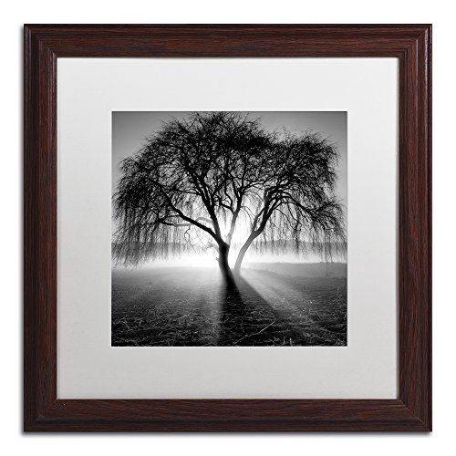 Framed Wall Art - Moises Levy 'Lightning Tree I' Wall Decor with Matted Frame by Trademark Fine Art