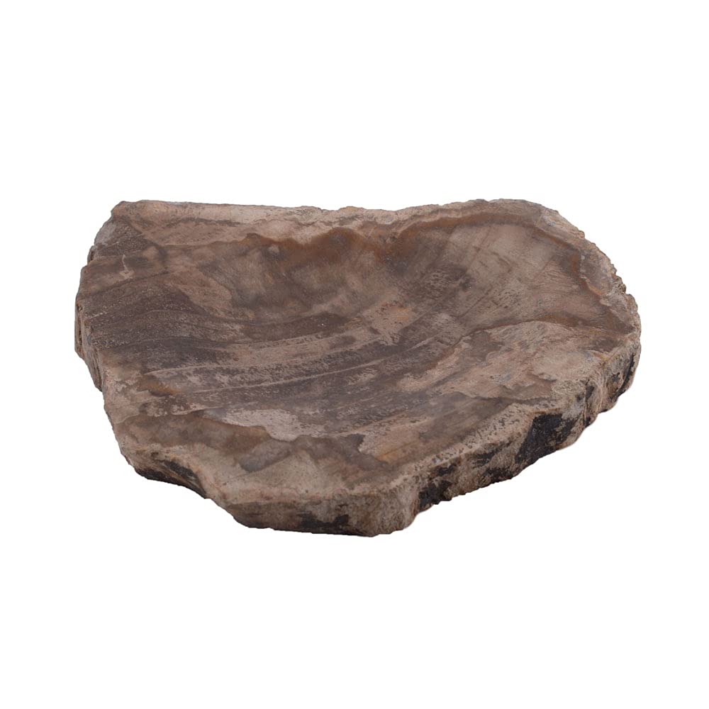 Salón Alegrías – Jabonera de versteinertem Madera