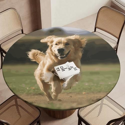 Nappe ronde ajustée Golden Retriever imperméable anti-vent - 6