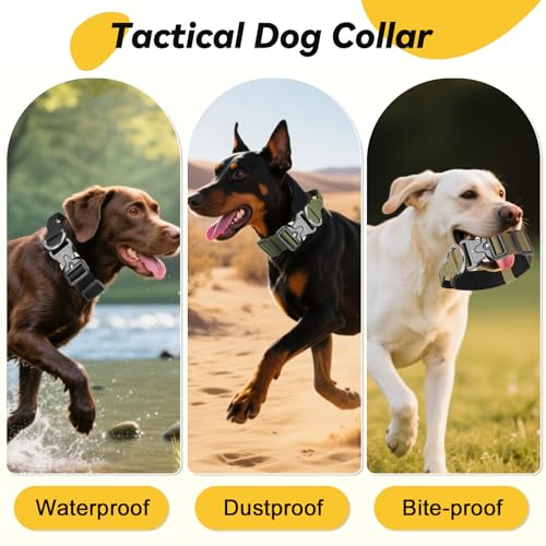 Viugex Taktisches Hundehalsband, Weich Gepolstertes Nylon Hunde Halsband, Langlebig, Premium-Qualität, Verstellbare Hundehalsbänder mit Metallschnalle für Mittlere Große Hunde (Schwarz, M)