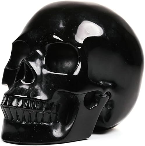 Miniatura 2 de Estatua de calavera de cristal de obsidiana negra de 5.0 pulgadas, súper realista, piedra curativa de cristal, escultura de piedra preciosa tallada
