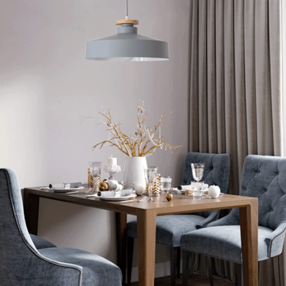 RCIDOS Luces Colgantes Estilo Nórdico Pantalla Luz Techo Creativa Industrial Lámpara Suspensión Escandinava Metal con Accesorio Iluminación Techo Cable Ajustable para Cocina, Cafetería Rústica