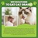 Cat Grass Sticks, 60 g Cat Grass Teething Stick and 50 g Cats Treats, Natural Dental Chews for Teeth Cleaning & Hairball Relief Teething Sticks for Indoor Cats Grain-Free