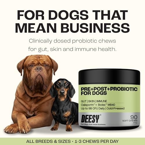 DEESY® Probiotics for Dogs – Clinically Dosed Calsporin® Soft Chews | Pre + Pro + Postbiotic | Gut, Skin & Immune Health | Itchy Skin, Allergies & Sensitive Stomachs | Hydrolysed Formula | 90 Count - Image 4