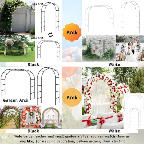Arche de jardin robuste pour rosiers grimpants avec treillis stable