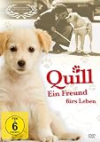 quillashop  Quill - Ein Freund für\'s Leben [Alemania] [DVD]