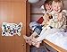 RV State Map Sticker - 11