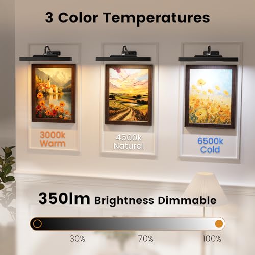 Image of Picture Light for Wall, 12 inch Rechargeable Wireless Battery Operated Painting Lighting, Dimmable LED with Remote 3CCT for Wall Art Gallery Display (Black)