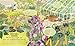 How to Grow a Garden: Find a Plant for Every Place
