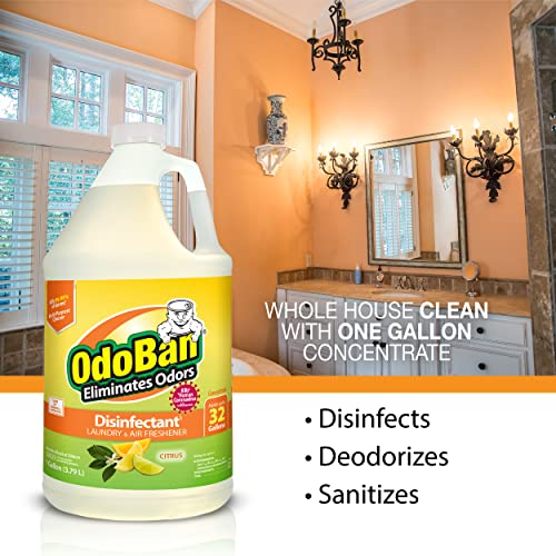 Odoban Disinfectant Concentrate And Odor Eliminator, 1 Gallon, Citrus Scent #TOP4