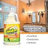 OdoBan Ready-to-Use Disinfectant and Odor Eliminator, Set of 3, 32 oz Spray, 1 Gallon Concentrate and 14 oz Solid Odor Absorber, Citrus Scent