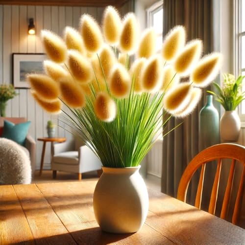 Seeds Bunny Tails Ornamental Grass 100+ Seeds for Planting Hare’s Tail