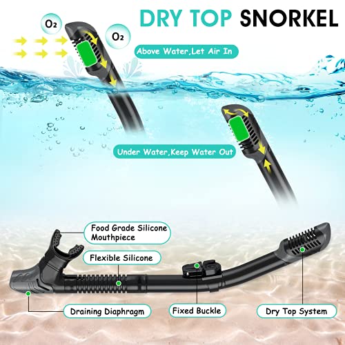 Mifanstech Snorkel Set for Adults, Panoramic View Anti-Fog&Anti-Leak Diving Mask, Dry Top Snorkel, Adjustable Snorkel Fins with Gear Bag, for Snorkeling Swimming Scuba Diving