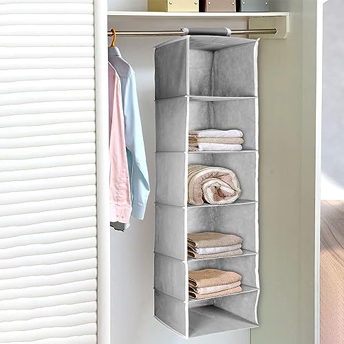 Image of Hanging Closet Organizer for Clothes Storage | Foldable Wardrobe Hanging Storage Rack | Non-Woven Multipurpose Cupboard Organizer for Clothes, Towels & Accessories (Grey, Pack of 2, 6)