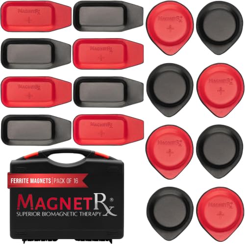 Amazon.co.jp: MagnetRX® 生体磁気キット - バイオ磁気用Dr Goiz