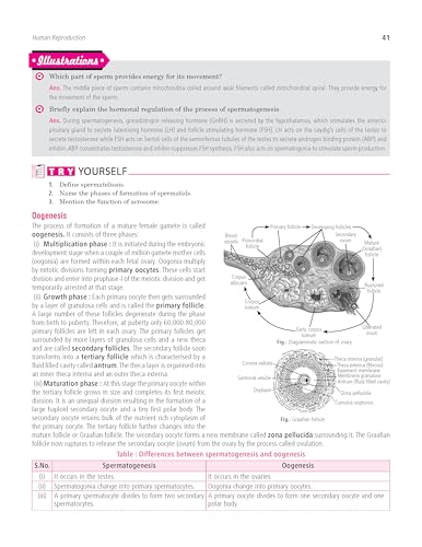 Image of MTG 100 Percent NCERT & CBSE Biology Class 12 For 2026-27 Exam | As Per Revised NCERT Textbooks Syllabus | Theory, Concept Map, MCQs, Practice Paper & Exam Drill Available All in One Book